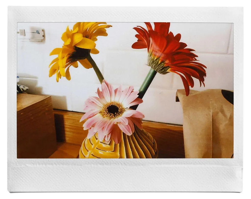 Instax Link Wide M Gray Ex D : Imprimante Bluetooth Format Paysage - 14