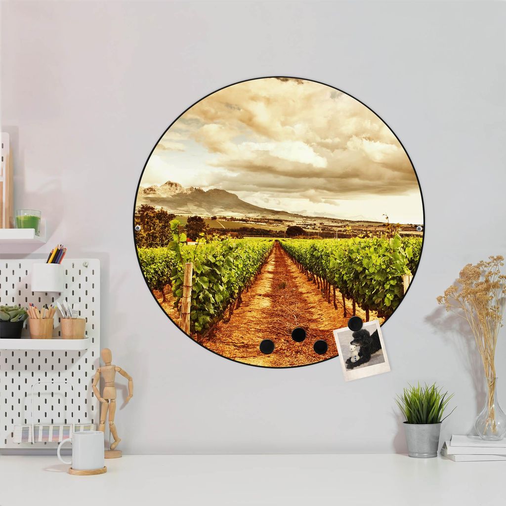 Design Stahlmagnettafel Schwarz Rund 47cm Weinberg