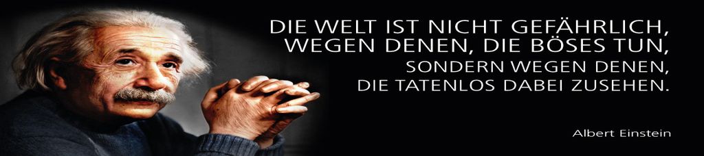 vianmo Blechschild 10x46 cm Einstein Zitat Die Welt ist nicht gefährlich