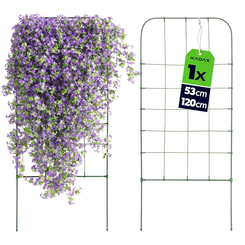 KADAX Rankgitter 53 x 120 cm, Rankhilfe für Kletterpflanzen wie Bohnen & Erbsen, Pflanzenstütze aus beschichtetem Metall, Pflanzengitter für Pfl...