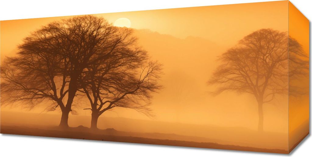 Bild 40x20cm Dämmerung über den Wiesen