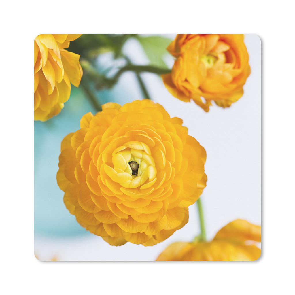 MuchoWow Mauspad Mousepad Blumen - Draußen - Orange 20x20 cm - Mousepads - Maus Mat - Pad - Mausunterlage - Desk Mat - Bureauartikeln