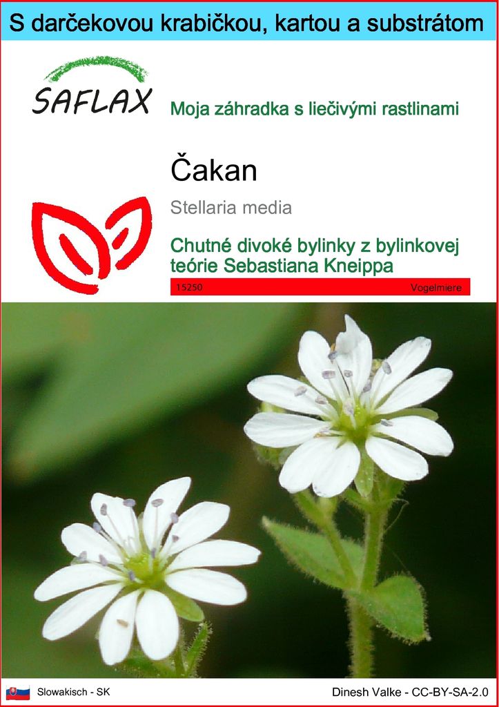 SAFLAX Darčeková sada - čakan - Stellaria media - 1000 Obrázok produktu 