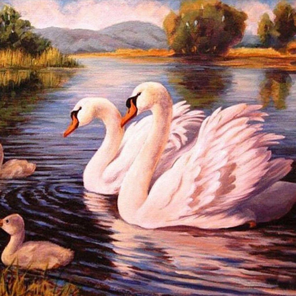 Obraz podľa čísel, "Labutie rodina na jazere", 40x50 cm, s Obrázok produktu 