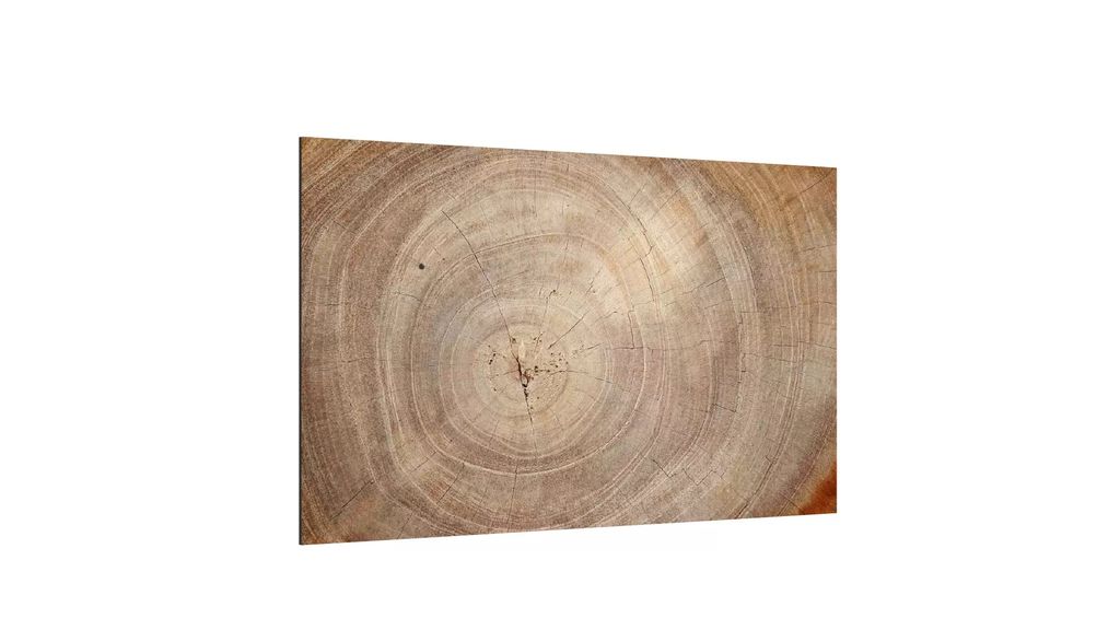 Glas Magnettafel Baumstamm Natur Baumkern 60x40cm Glasbild Produktbild 