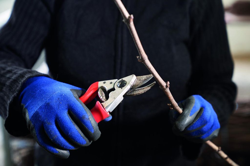 FELCO Gartenschere Nr. 15 Rollgriff Rechtshänder Baumschere Obrázok produktu 