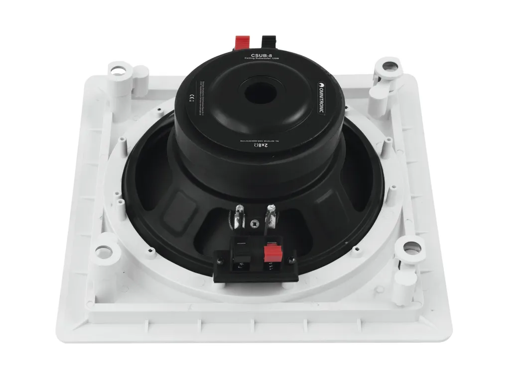 Omnitronic CSUB-8 Haut-parleur de Graves 120W Puissant et Discret