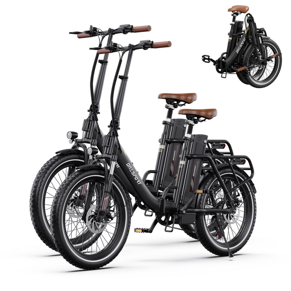 Onesport 20 Zoll Elektrofahrrad Pedelec,E-Klapprad 48V/17Ah,250W Motor,25km/h(2 Stück)