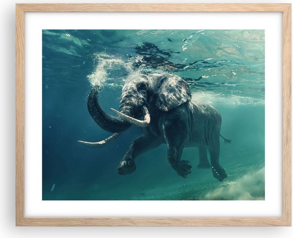 Gerahmtes Poster - Rahmen in heller Eiche - Elefant Tier Wasser - 50x40 cm - Wand Bild - Wanddeko - Wandbilder - Wandposter - Bilderrahmen - Bilder...