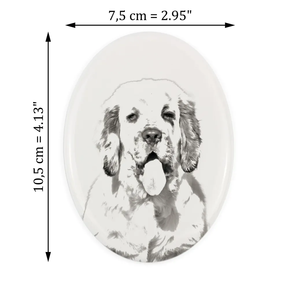 Targa Commemorativa Clumber Spaniel Art-Dog | Lapide Ceramica Ovale - 2