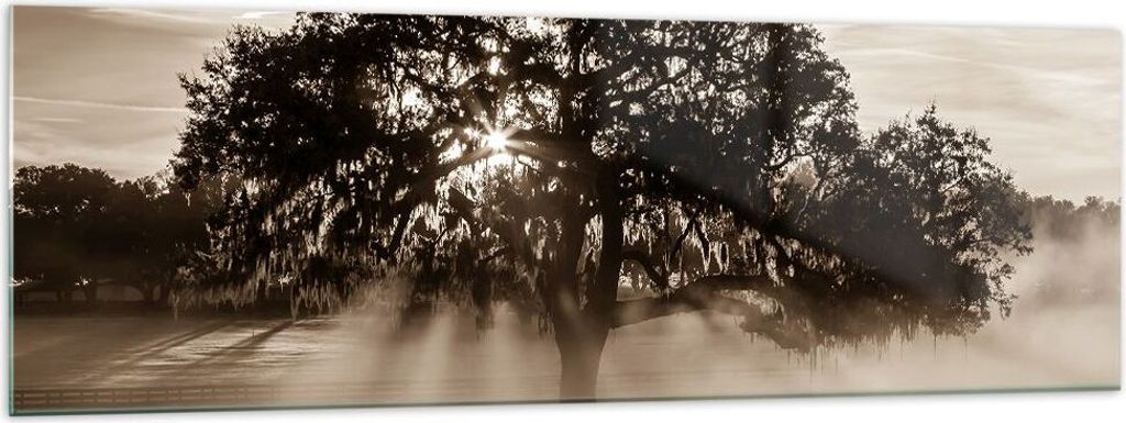 Bilder auf glas - Baum Feld Natur - 160x50cm - Glasbilder - Wandbilder - Kunstdruck - zum Aufhängen bereit - Wanddekoration aus Glas - Glas Bilder...