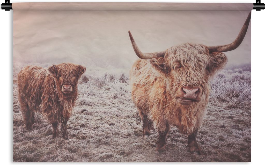 MuchoWow Wandteppich Wandbehang Schottische Hochlandbewohner - Licht - Himmel - Natur 90x60 cm Tapisserie Dekoration Wandtuch - Wandskulpturen - ...