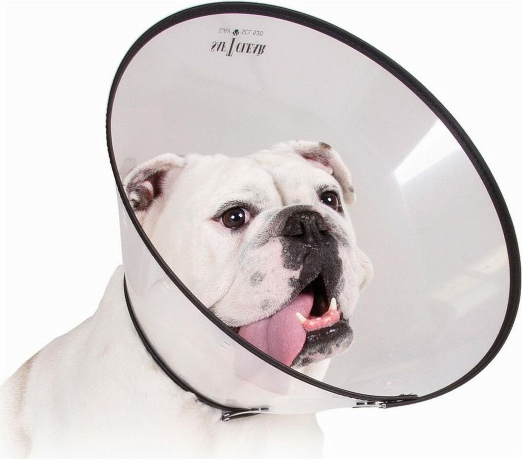 Hunde-Halskrause KVP Saf-T-Clear Durchsichtig (15-23 cm)