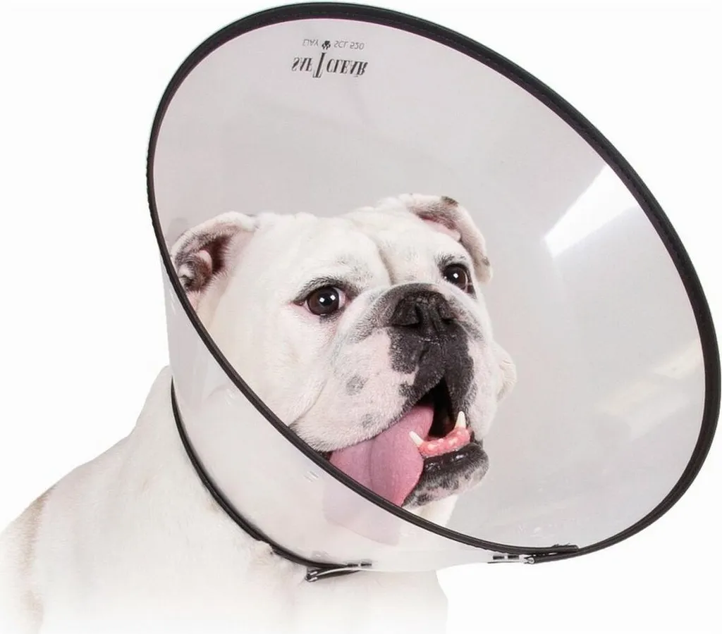 Guida all'acquisto: Collare KVP Saf-T-Clear Trasparente 15-23 cm