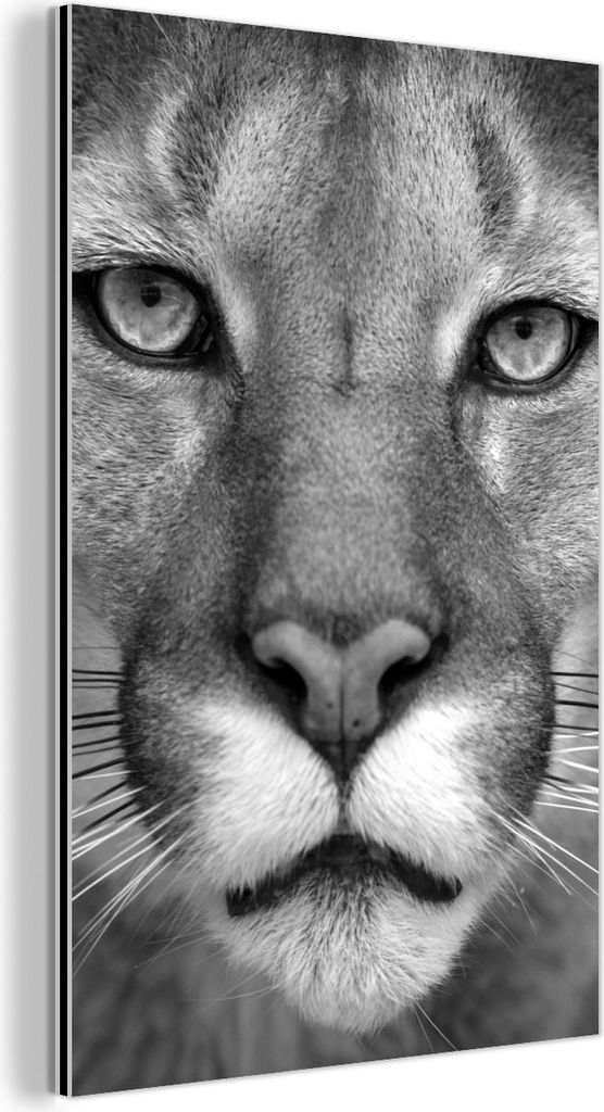 MuchoWow Wanddekoration Metall Metallbild Wandkunst 80x120 cm Panther - Wildlife - Schwarz - Weiß MuchoWow Aluminium Gemälde - Bilder