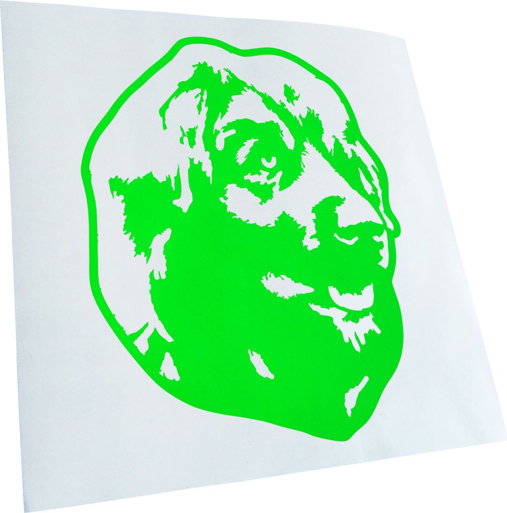 Kiwistar - Autoaufkleber - leonberger Hund - Neongrün - 24x18cm - Aufkleber für Auto, Laptop, Fahrrad, LKW, Motorrad mehrfarbig JDM Decal Racing