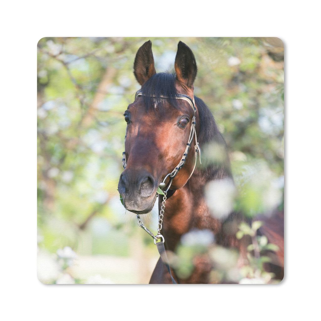 MuchoWow Mauspad Mousepad Pferde - Blüte - Frühling - Tiere 30x30 cm - Mousepads - Maus Mat - Pad - Mausunterlage - Gaming