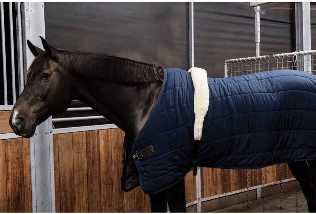 Sangle de Marcheur pour Cheval en Nylon Doublée Fourrure de Mouton - 2