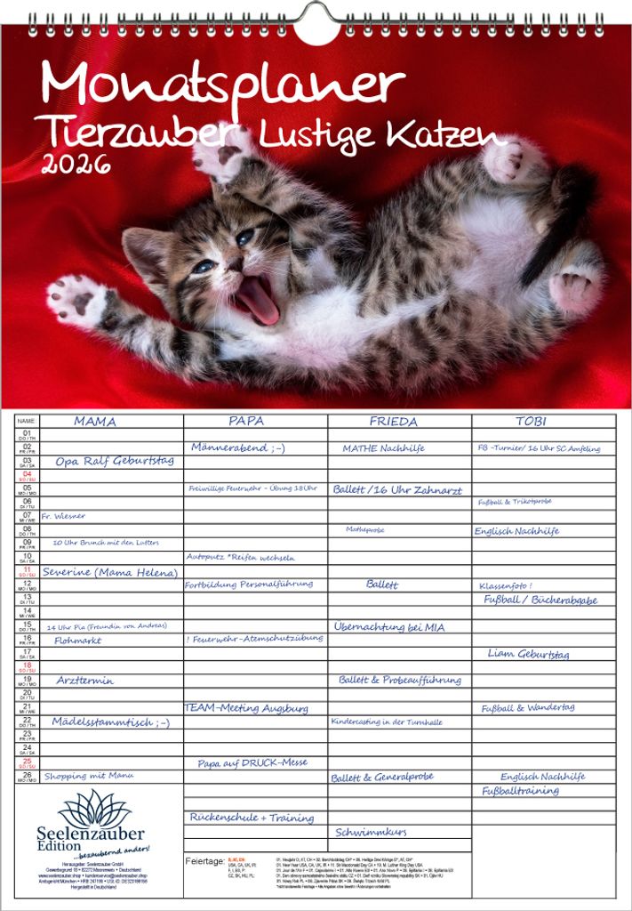 Tierzauber lustige Katzen Planer Familienplaner 4 Spaltenplaner DIN A3 Kalender für 2026 Lustige Katzen - Seelenzauber