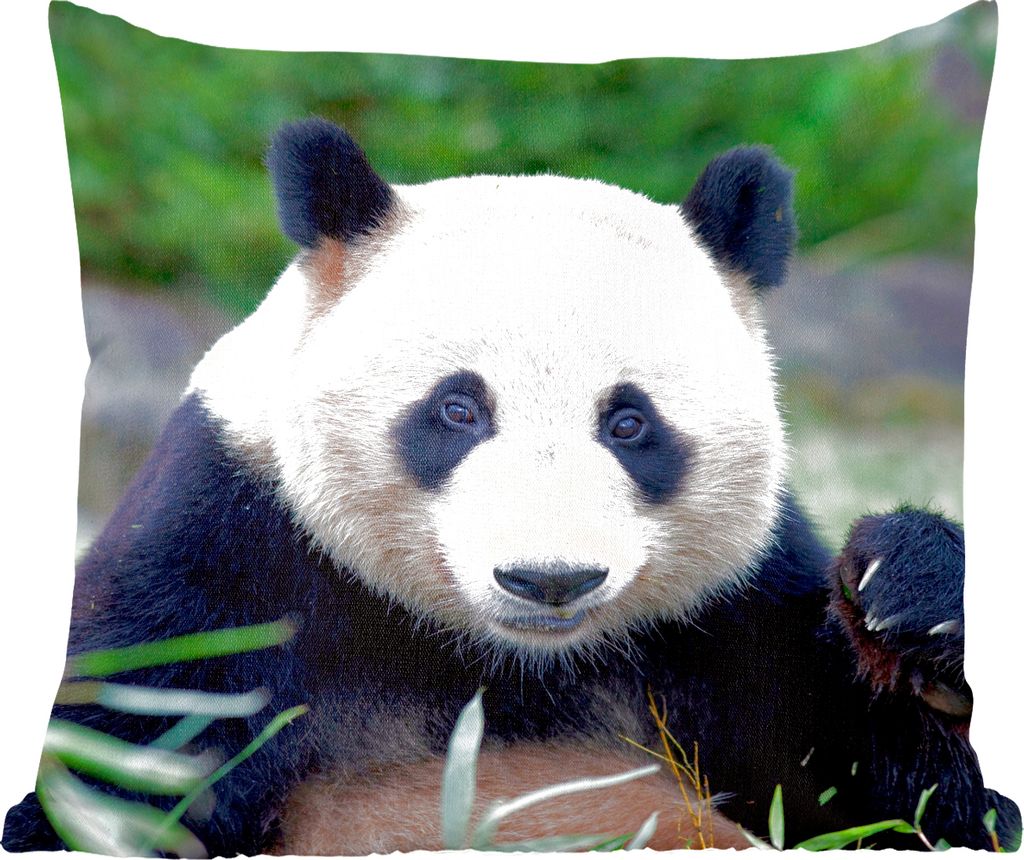 MuchoWow Zierkissen Sofakissen Wohnzimmer Dekokissen 50x50 cm Großer Panda - Gras - Steine - Komfort - Sofakissen