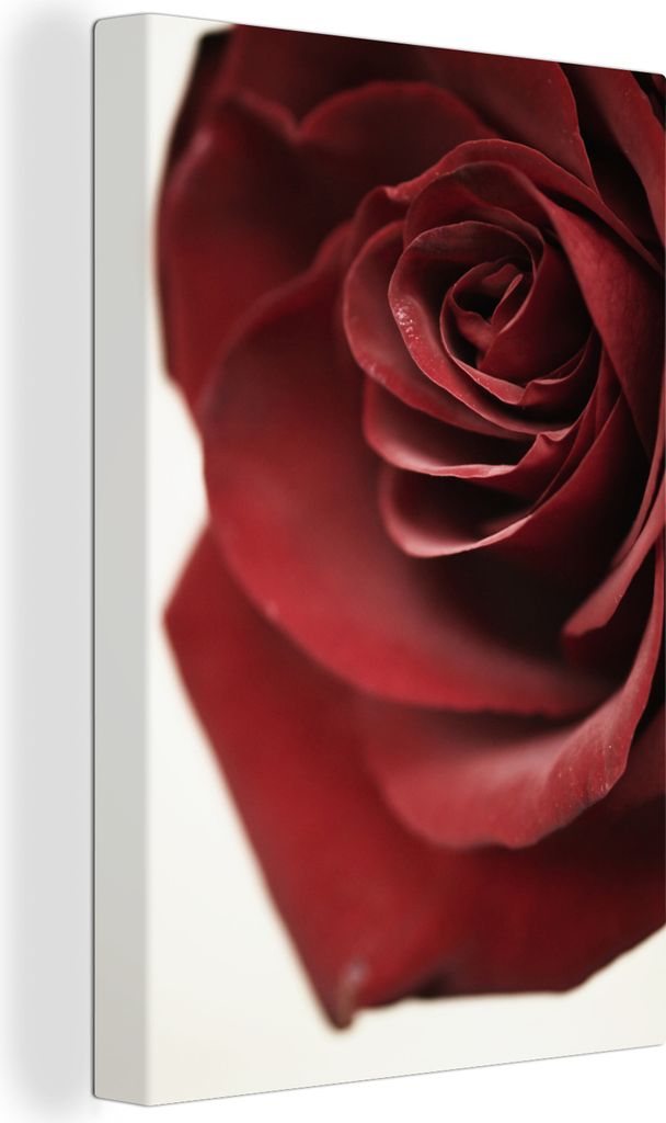 OneMillionCanvasses - Leinwandbilder - 90x140 cm, Blumen - Rose - Rot, Wandbilder Kunstdruck Wanddekoration - Wandschmucke - Schlafzimmer