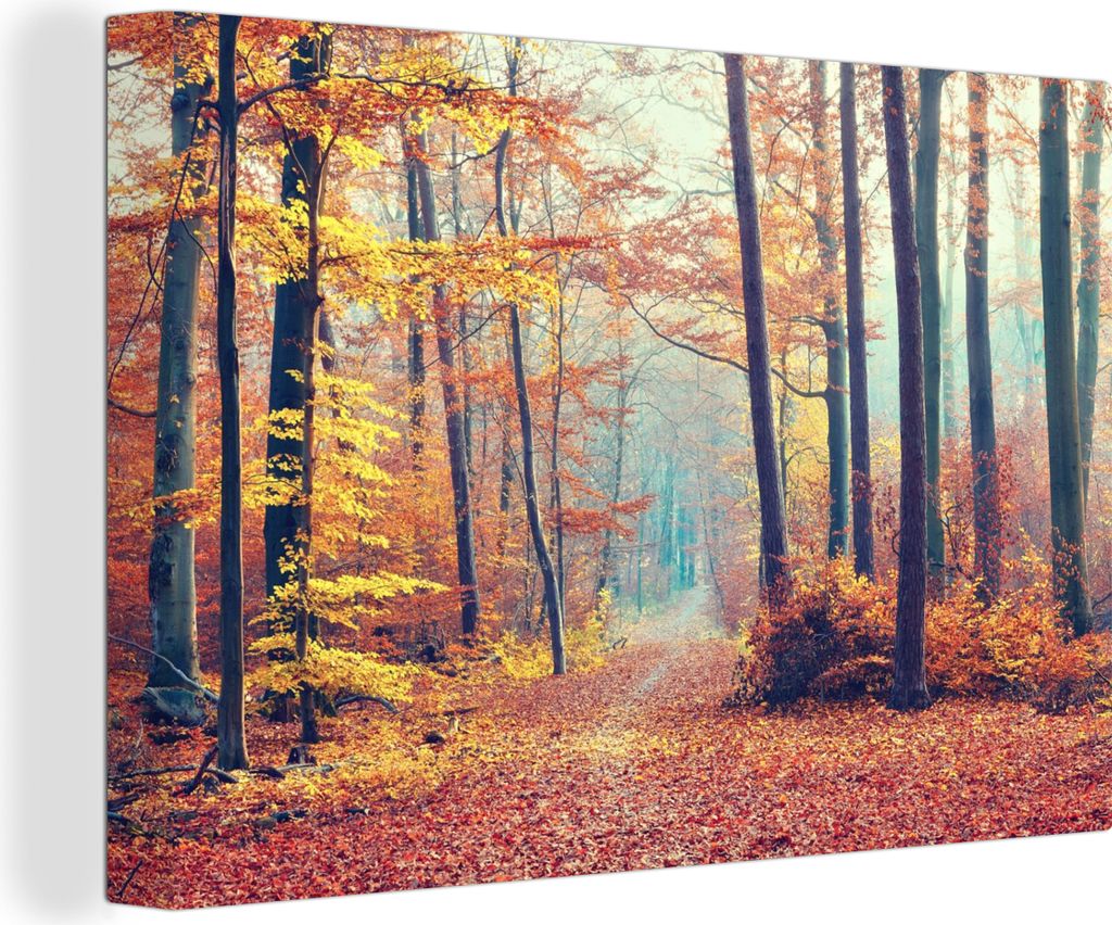 OneMillionCanvasses - Leinwandbilder - 150x100 cm, Wald - Herbst - Laub, Wandbilder Kunstdruck Wanddekoration - Foto auf Leinwand - Gemälde auf ...