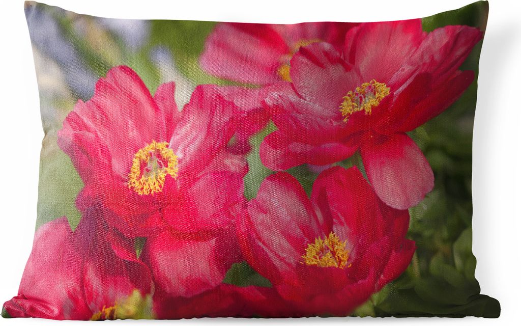 MuchoWow Outdoor Kissen - Die roten Pfingstrosen in der Natur - 50x30 cm - Wetterfest - Lounge Kissen - Sofa kissen - Wohnzimmer Dekoration