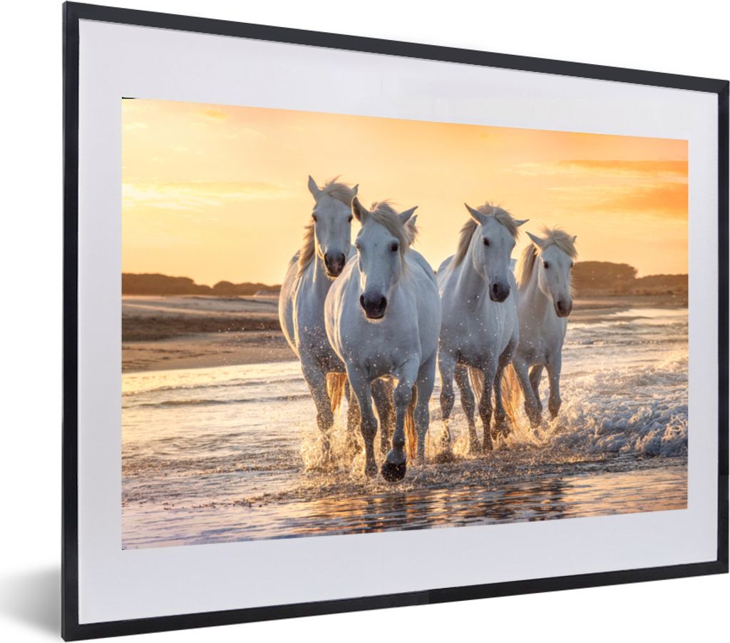 MuchoWow MuchoWow Gerahmtes Poster Pferde - Wasser - Strand - Tiere 60x40 cm - Poster mit zchwarzem Bilderrahmen - Schlafzimmer - Plakat in Rah...