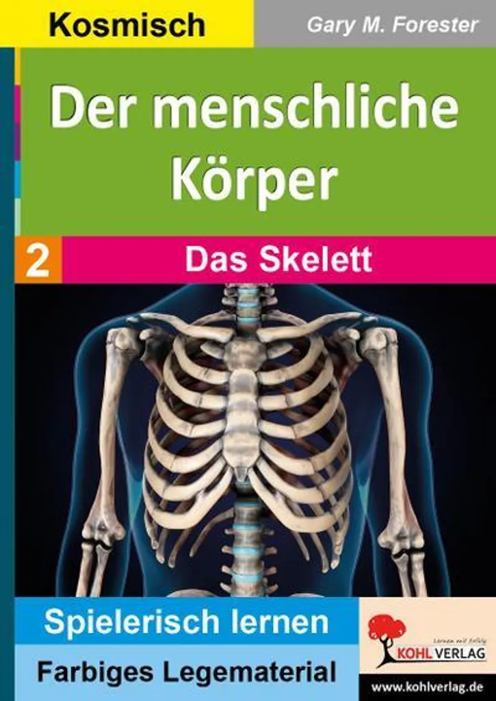 Guide squelette humain volume 2 pour réviser l'anatomie des os en solo