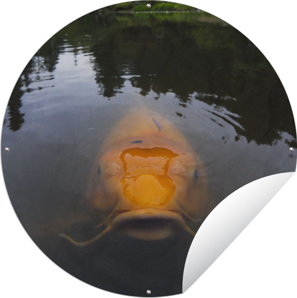MuchoWow Gartenposter Outdoor-Poster Rund Ein riesiger Koi-Karpfen im Wasser Ø 120 cm Gartendeko Rundes Poster draußen