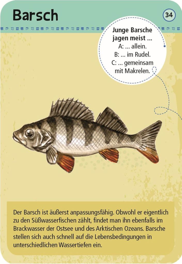 Expedition Natur 50 heim. Strandtiere & Pflanzen