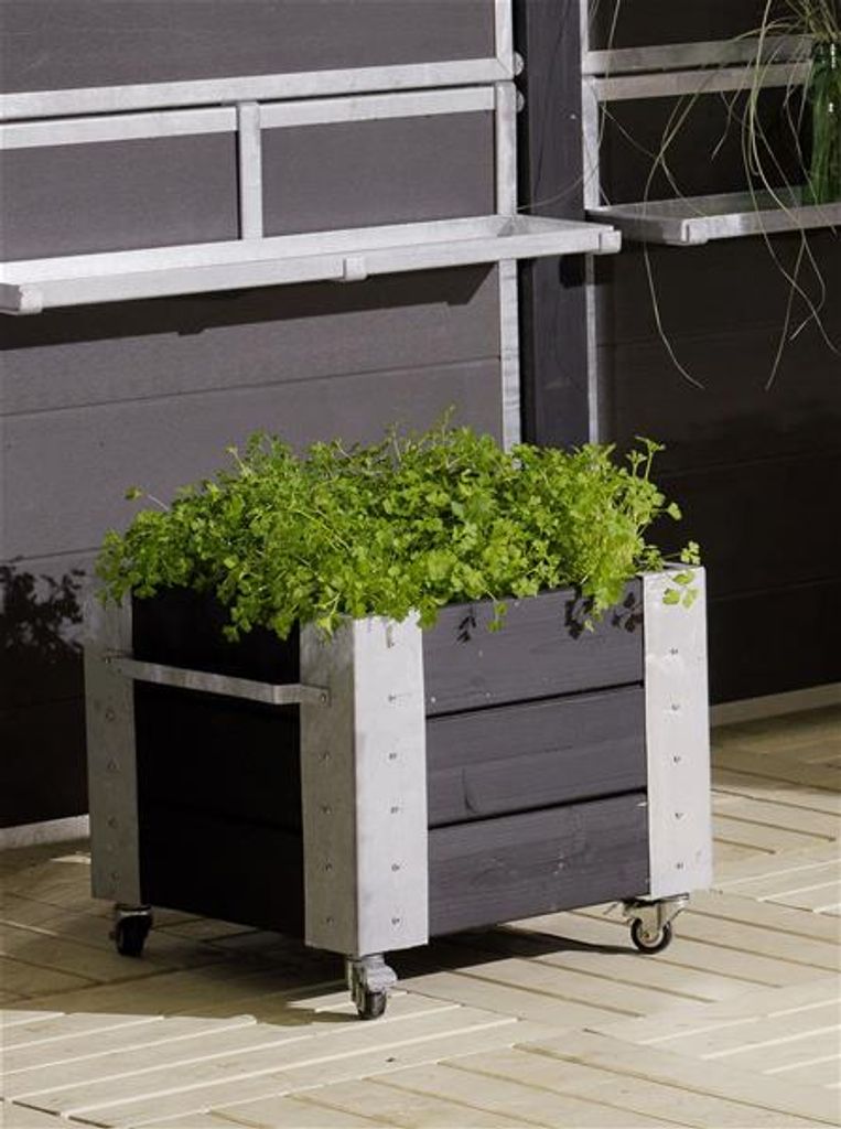 Plus Blumenkasten Cubic 47 x 50 x 47 cm schwarz mit Räder