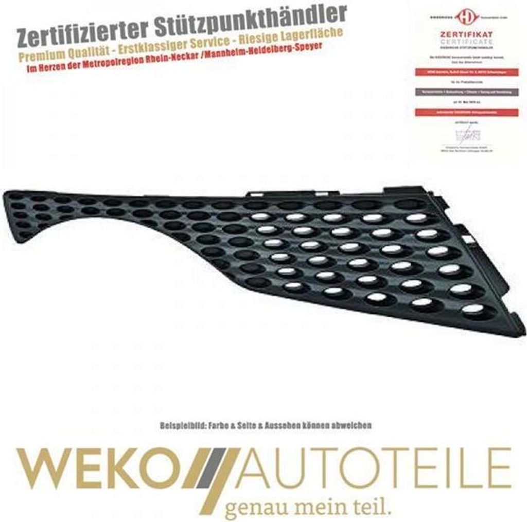 Kühlergitter rechts DIEDERICHS 6075042 passend für NISSAN