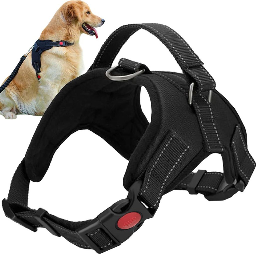 A black dog harness is shown in the foreground, with a golden retriever wearing a similar harness in the background.