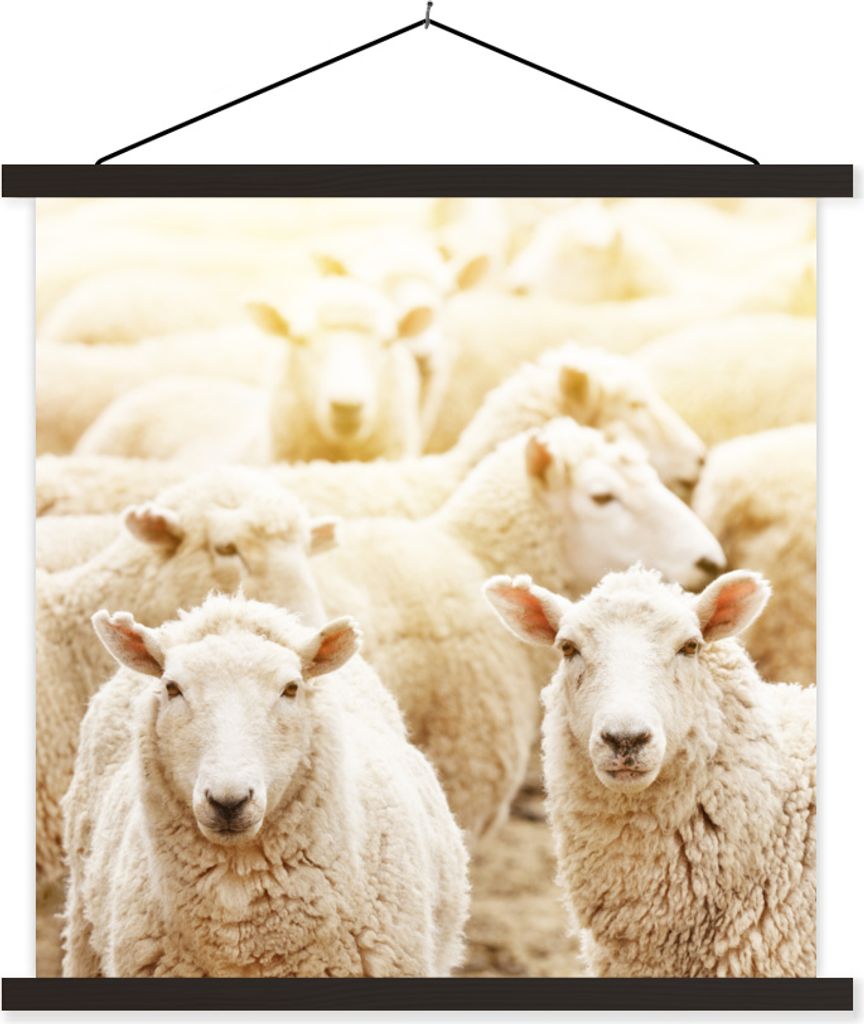 MuchoWow Textilposter Schafe - Wolle - Weiß 40x40 cm mit schwarzem Rahmen - Fotos