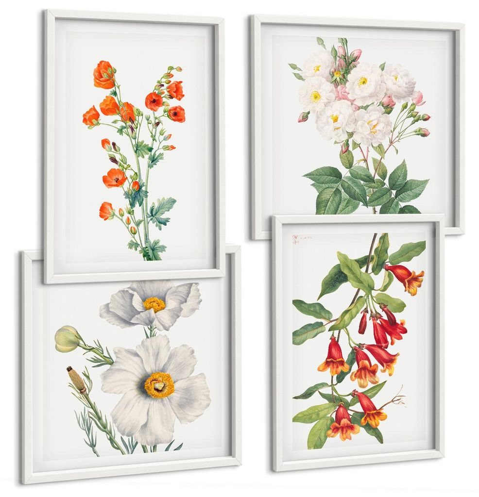Bilder Set 4-teilig im weißen Rahmen – Wandbilder 4 Stück – gerahmte Poster für Wohnzimmer, Schlafzimmer und Flur – 50x50 cm - 40x60 cm ...