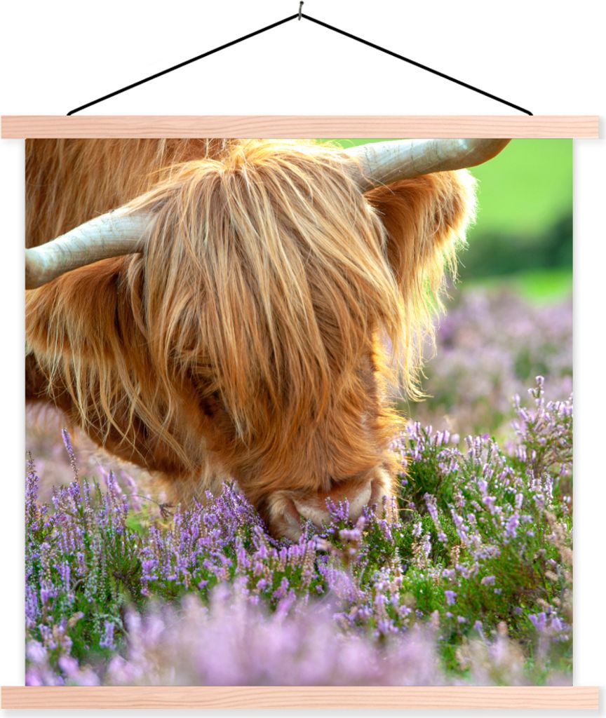 MuchoWow Textilposter Schottische Hochlandrind - Gras - Heidekraut - Tiere 60x60 cm mit holzfarbenen Rahmen - Wanddekoration