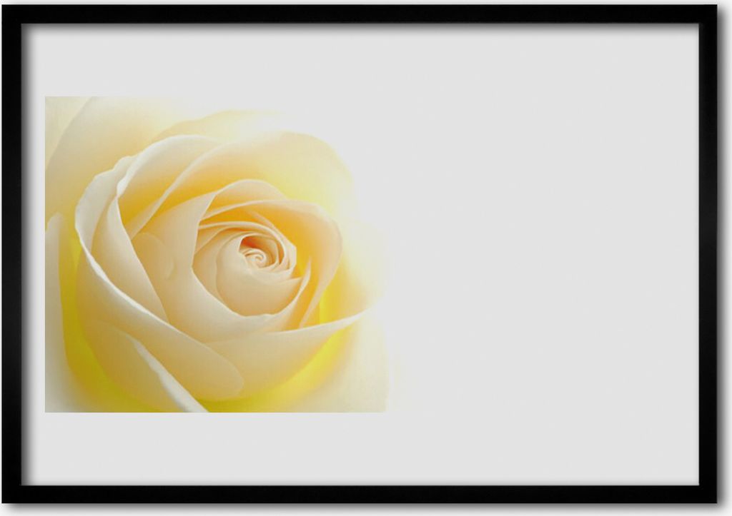 Bild 100x70 MDF-Rahmen Wandkunst Rose Blume Pflanze Natur