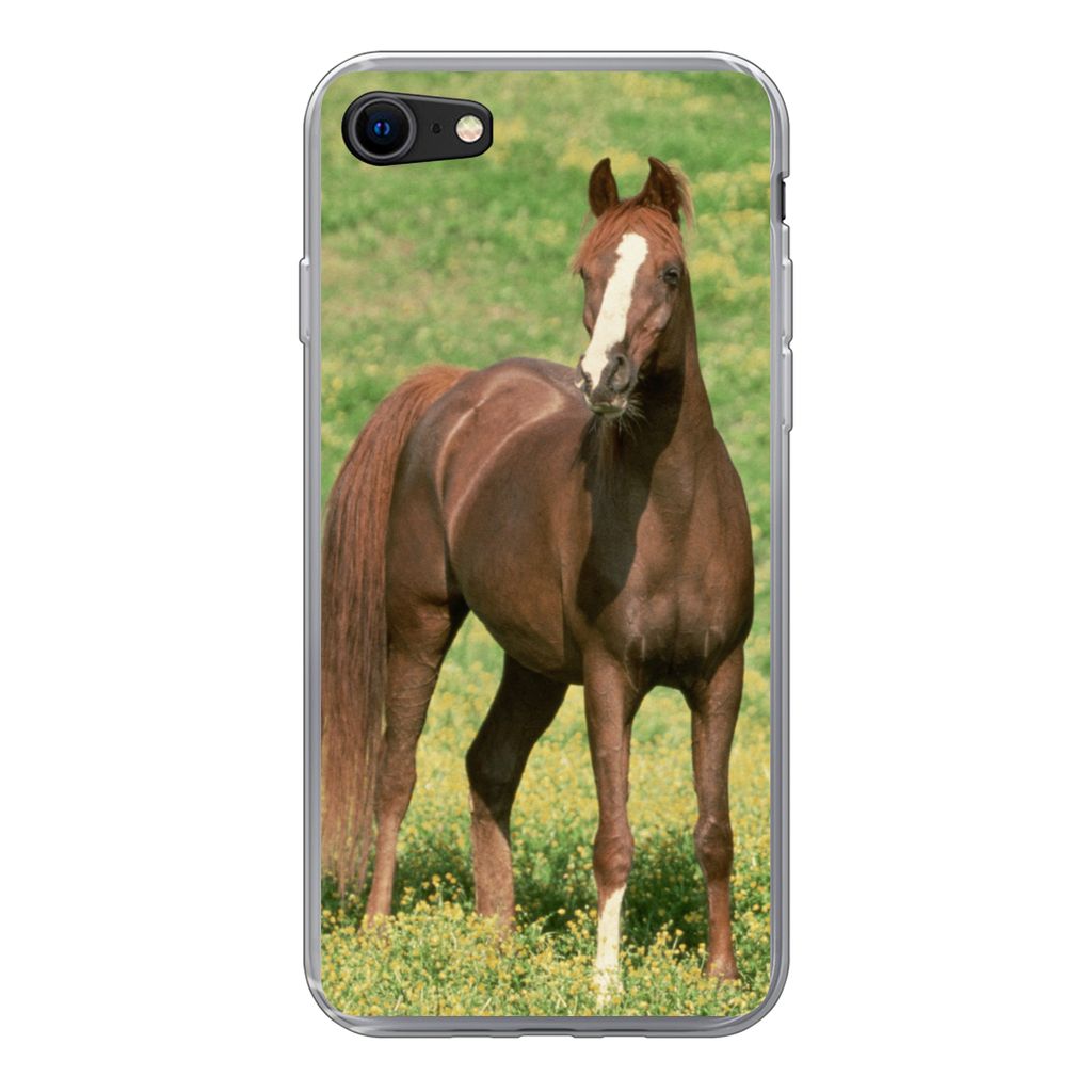 MuchoWow Handyhülle Schutzhülle Hülle für iPhone SE 2022 Pferde - Gras - Braun Silikon Softcase Handy Hülle - Schutzhülle