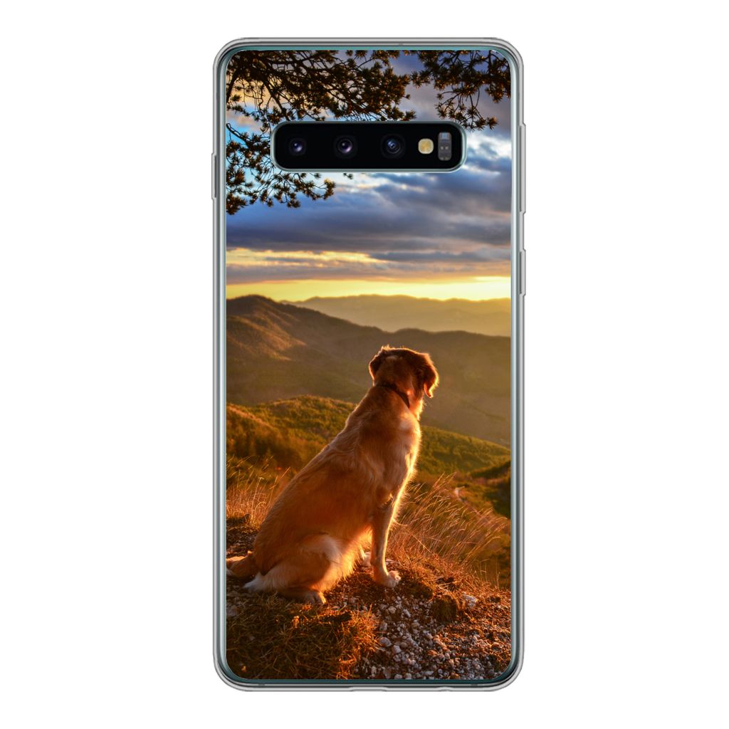 MuchoWow Handyhülle Schutzhülle Hülle für Samsung Galaxy S10 Ein Golden Retriever beobachtet den Sonnenuntergang Silikon Softcase Handy Hüll...