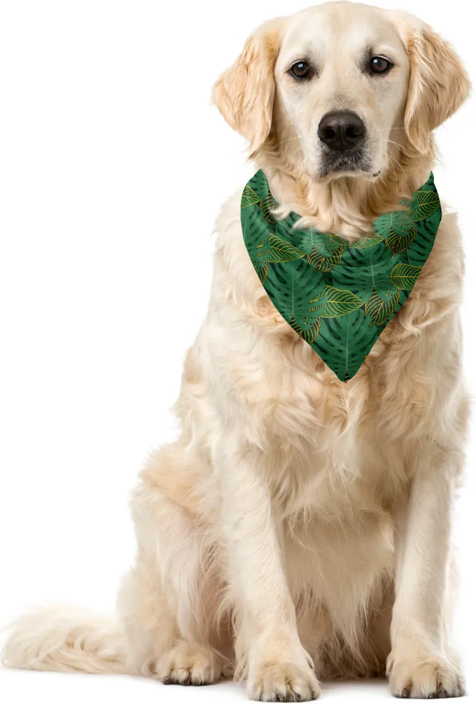 ABAKUHAUS Bandana per animali domestici con foglie, Monstera Exotic Tropical, 40x40 cm, verde cacciatore multicolore
