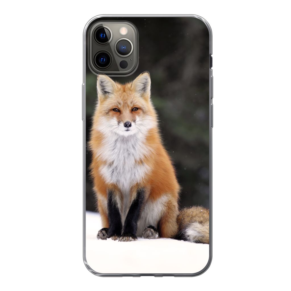 MuchoWow® Handyhülle Schutzhülle Hülle für iPhone 13 Pro Produktbild 