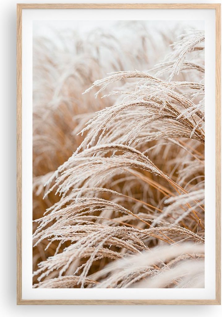 Gerahmtes Poster - Rahmen in heller Eiche - Gras Natur Frost - 61x91,5 cm - Wand Bild - Wanddeko - Wandbilder - Kunstposter - Wandposter - Bilderra...
