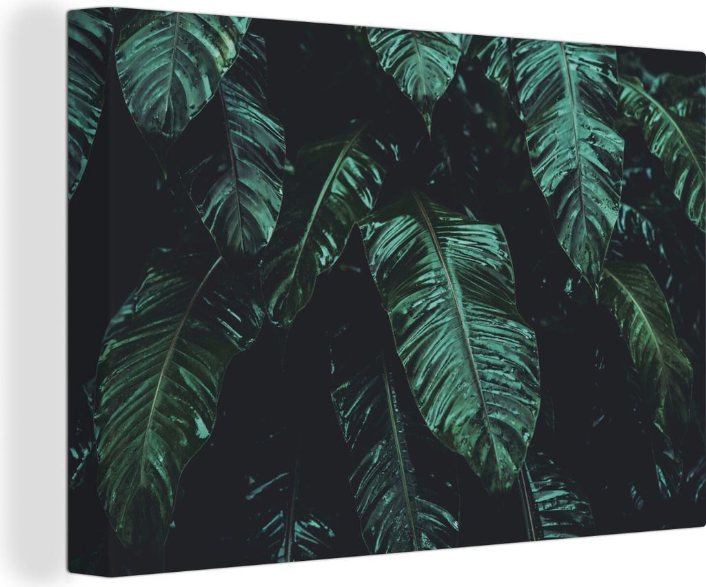 OneMillionCanvasses - Leinwandbilder - 140x90 cm, Dschungel - Palme - Blätter - Tropisch, Wandbilder Kunstdruck Wanddekoration - Foto auf Leinwa...