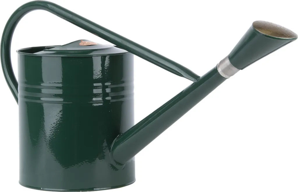 Esschert Design Serre Arrosoir 7,5L - Grand modèle en zinc galvanisé