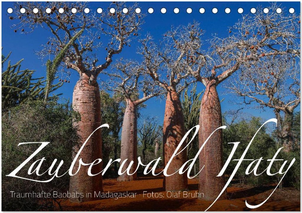 Zauberwald Ifaty · Traumhafte Baobabs in Madagaskar (Tischkalender 2026 DIN A5 quer), CALVENDO Monatskalender