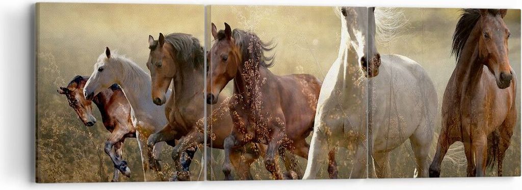 Bild auf Leinwand - Leinwandbild - Pferd Tier Natur - 90x30cm - Wand Bild - Wanddeko - Wandbilder - Leinwanddruck - Bilder - Kunstdruck - Wanddekor...