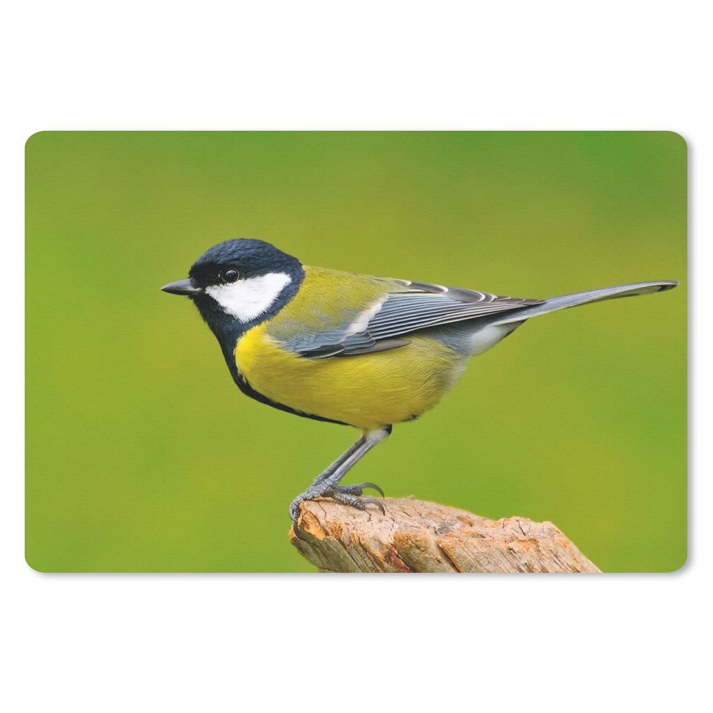 MuchoWow Mauspad Mousepad Vogel - Kohlmeise - Tiere - Grün 27x18 cm - Mousepads - Maus Mat - Pad - Mausunterlage - Büroartikel - Desk Matten