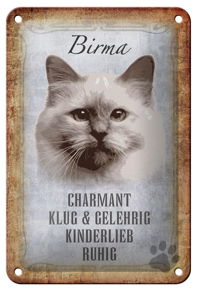 Blechschild Spruch 12x18cm Birma Katze klug Schild