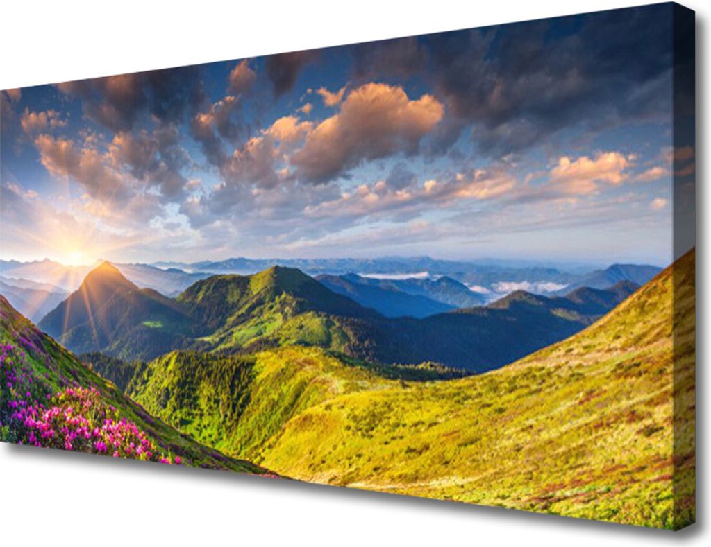 Tulup Leinwand-Bilder 100x50 Wandbild Canvas Kunstdruck Gebirge Sonne Wiese Landschaft